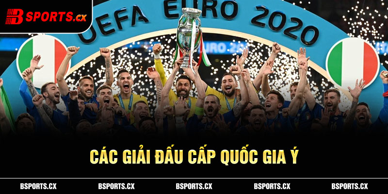Các giải đấu cấp quốc gia Ý